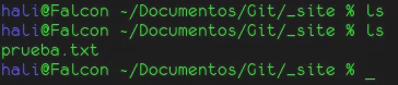 Resultado del commit en el sitio remoto